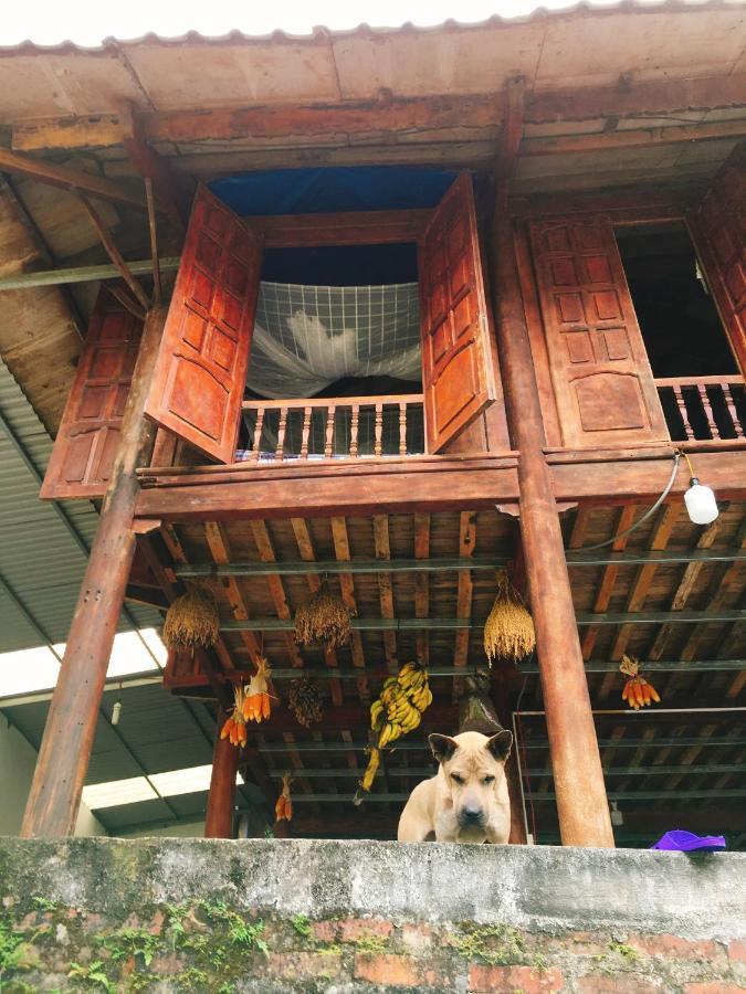 Shan Tea Homestay Ha Giang Buitenkant foto
